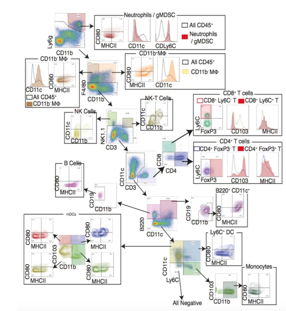 LAB METHODS Meylan Lab